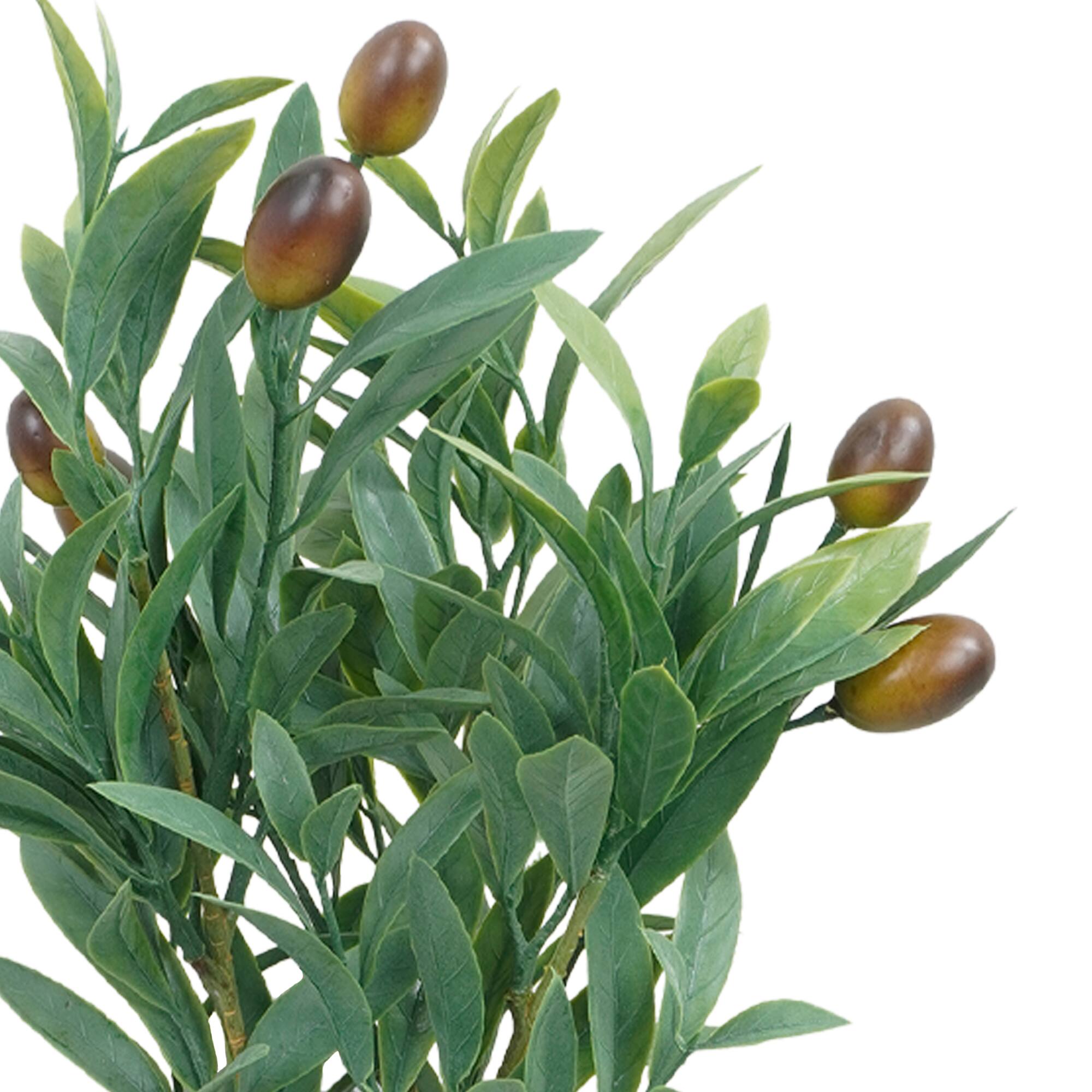 15" Olive Bush by Ashland®